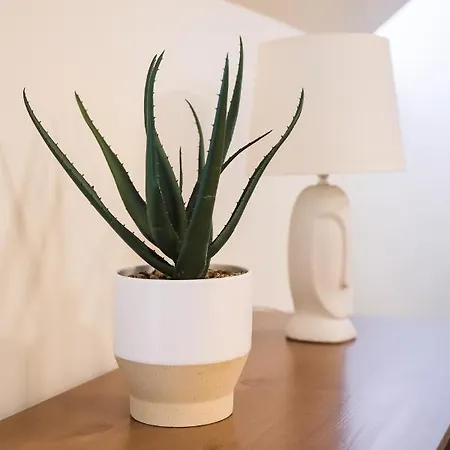 Rothko Apartment/8 Guests/4bedrooms/riga Old Town Riga