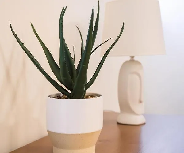 Rothko Apartment/8 Guests/4bedrooms/riga Old Town ריגה