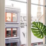 Rothko Apartment/8 Guests/4bedrooms/riga Old Town *