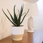Rothko Apartment/8 Guests/4bedrooms/riga Old Town Riga